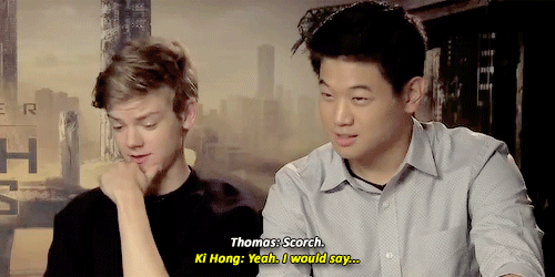 iheartnewt:Would you rather: be lost in the Maze or the Scorch?