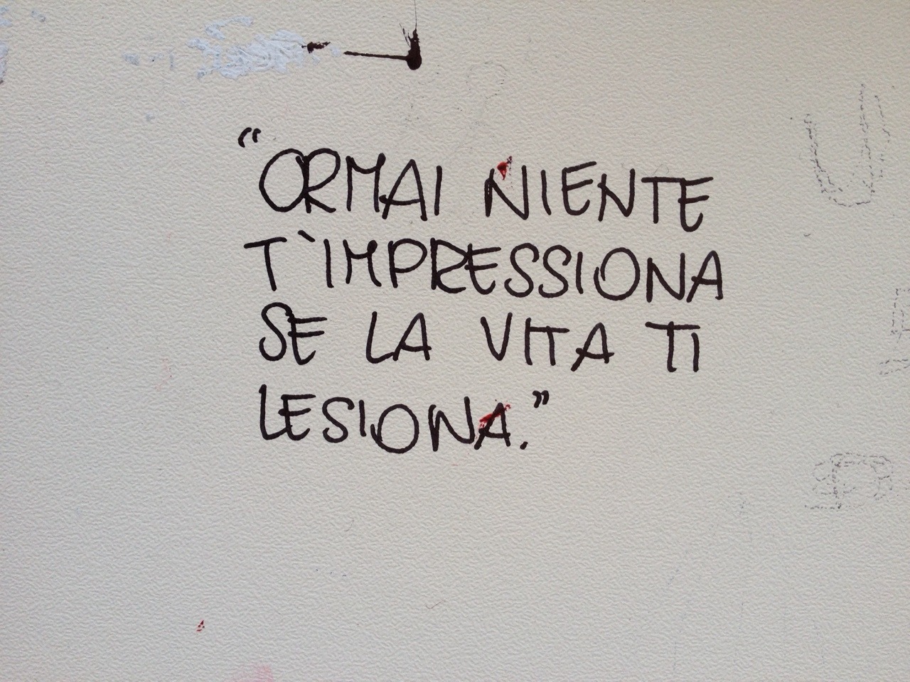 Speranzao On Tumblr speranzao-on-tumblr