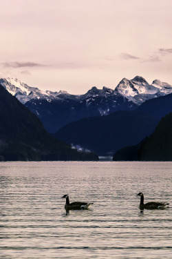 Alouette Lake | Photographer © | IG | AOI