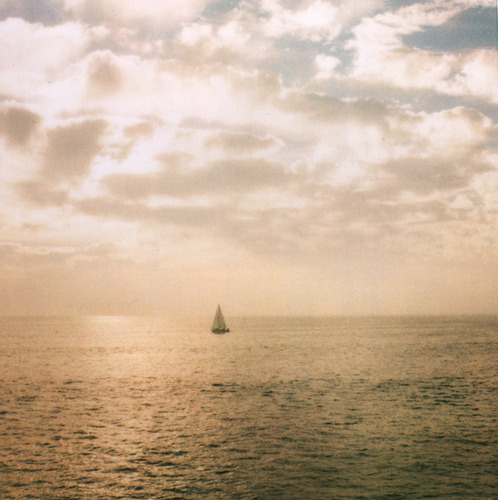rouvre:  king by elume on Flickr.