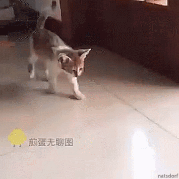dawwwwfactory: When you’ve had a rough day Click here for more adorable animal pics! Last week