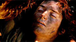 arwenns:lotr meme: 10 scenes [10/10] 