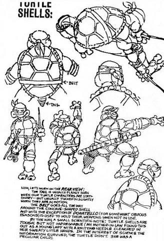 talesfromweirdland:Model sheets for the Teenage Mutant Ninja Turtles (in the style of the comics). N