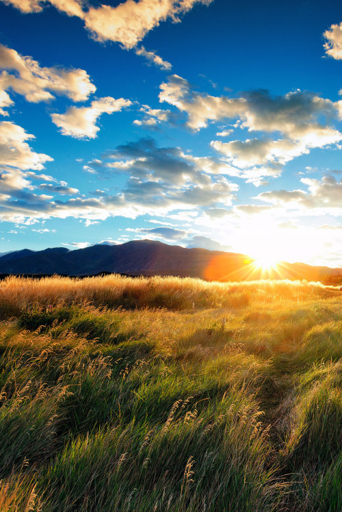 l0stship:  Calm Morning Sunrise (source) / by Mirai