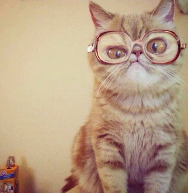 lolfactory:  Yeth, yeth I am awesome.☆ funny tumblr ☆ funny reblogs