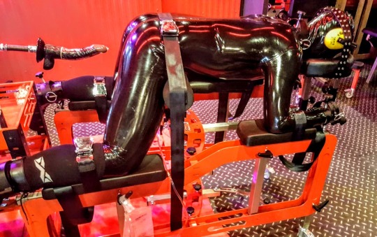 rubberforfun:Are you ready ? ⏩