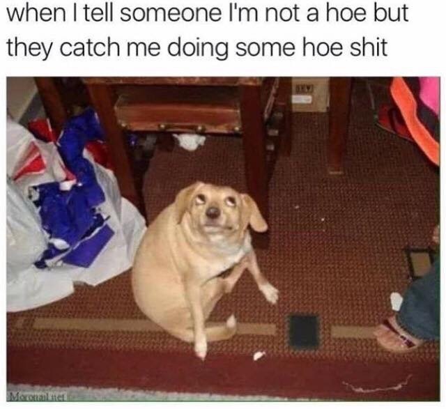 phrases:  Lmao me