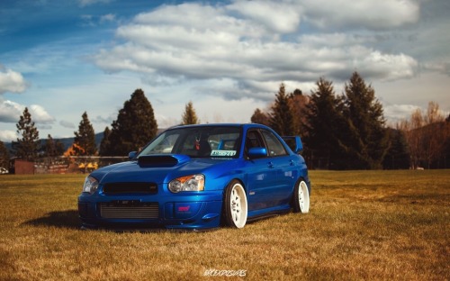 fuckyeahhellaflush:   