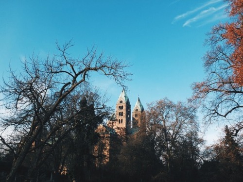 Speyer CathedralGermany, 2016