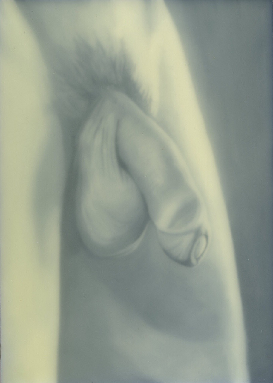 balcombe:  ‘Adam I’ Oil and wax on panel