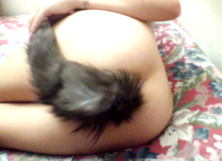 Xlunchpail:  I Love My Tail. 