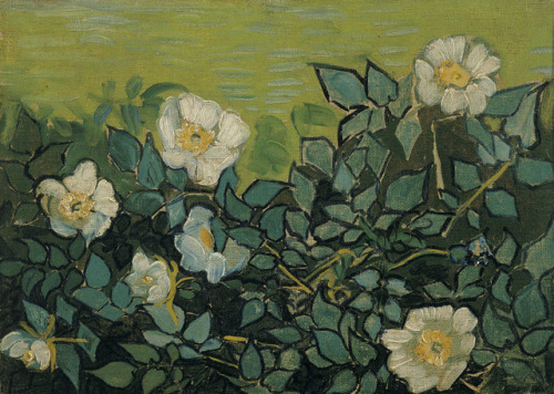 atravellingwoman: Vincent Van Gogh, Wild Roses (May - June, 1889)Oil On Canvas, 24.5 cm x 33.5 cmT