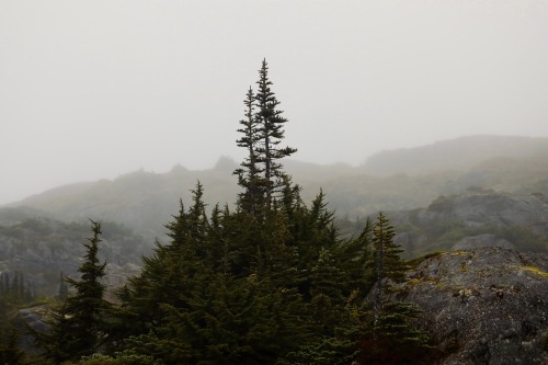 Stewart, British Columbia