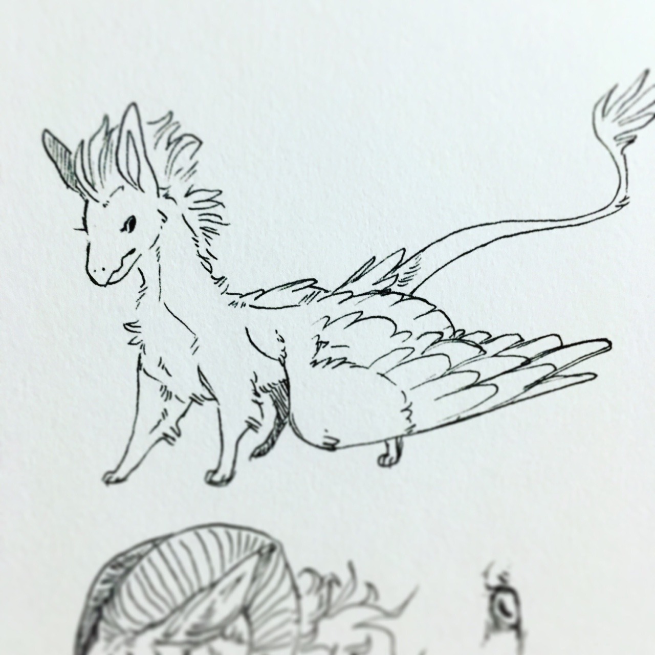 cremsie:Some ink doodles
