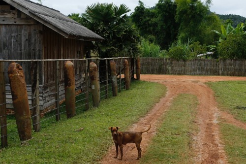 fotojournalismus:Lethal Legacy of Secret War in Laos (via Reuters)From 1964 to 1973, U.S. warplanes 