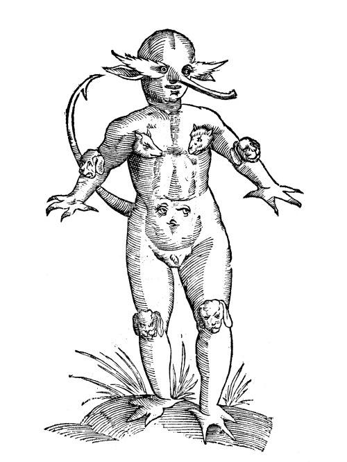 deathandmysticism:Ulisse Aldrovandi, Monstrorum Historia, 1642