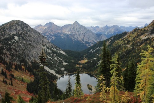 burningmine:Heather-Maple Pass, October 2018