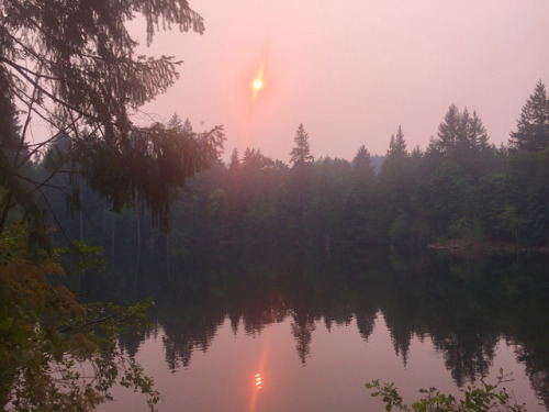 Smokey skies cast eerie light in the Anthropocene. by John Anderson Smoke from fires raging across t