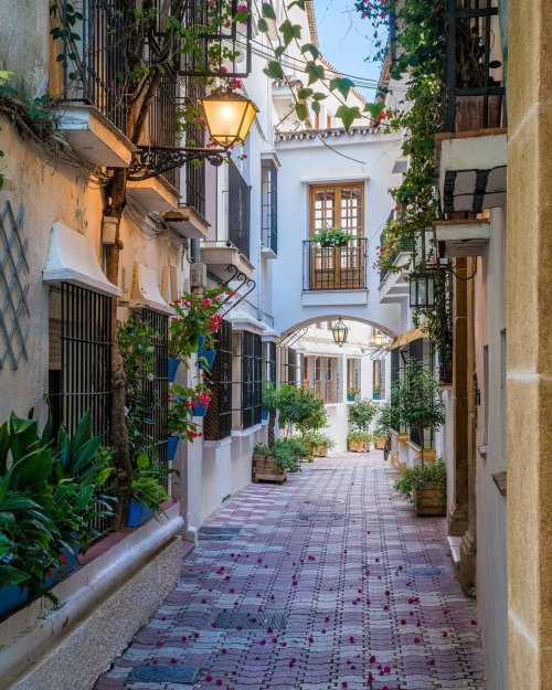 legendary-scholar:    Picturesque Narrow Street Marbella Old Town Province Malaga Spain.