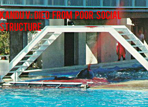 freedomforwhales:  You give this corporation your money, you’re the one paying for the abuse to continue.