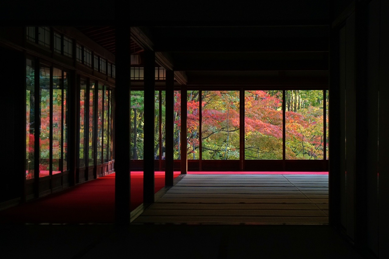 chitaka45:京都 南禅寺 天授庵 🍁紅葉2018🍁 kyoto nanzenji tenjuam temple