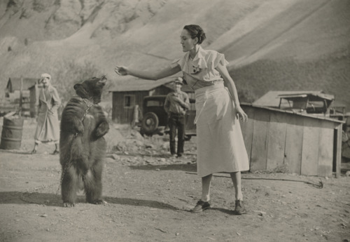 A girl feeds her pet bear in Riggins, Idaho.Photograph by Maynard Owen Williams, National Geographic