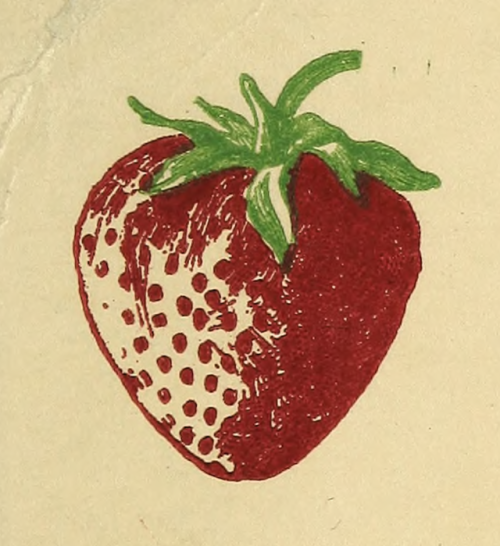 nemfrog:Strawberry used for nursery mailer. Source. 1922. 