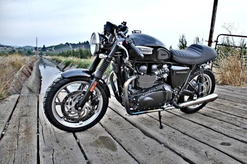 Triumph Bikes adult photos