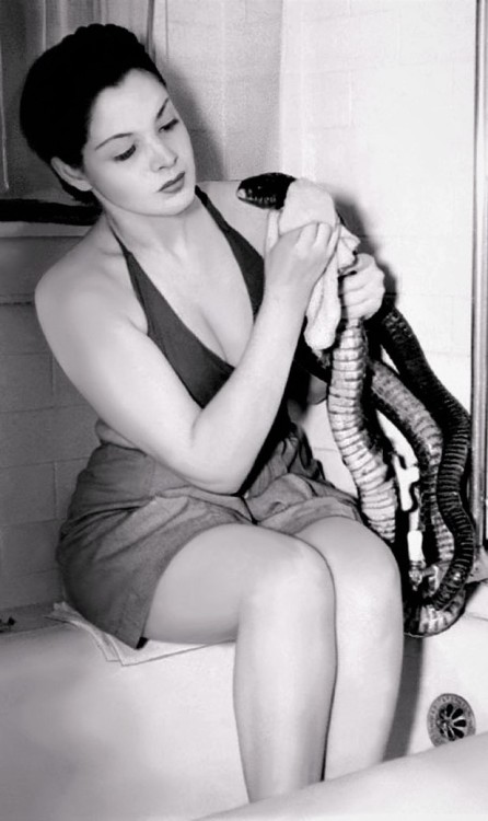  Zorita was a 1940s burlesque dancer known for performing spectacular acts with her two pet boa cons