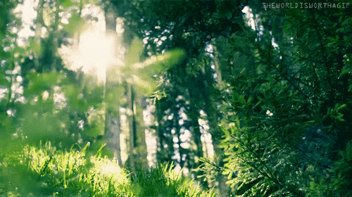 oldfarmhouse:GoodMorning Oldfarmhouse