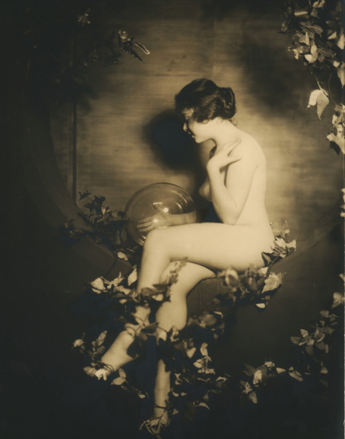 Ziegfeld Girl by Alfred Cheney Johnston