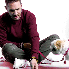 ann-fortunately: Tom Hardy Babysits Rescue Dogs From Battersea Dogs Home