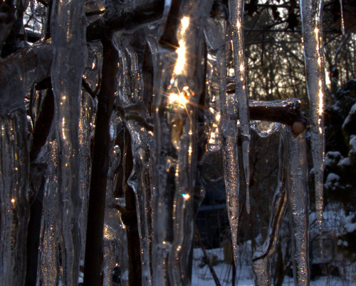 Sunrise. The sun will make more icicles as it rises.