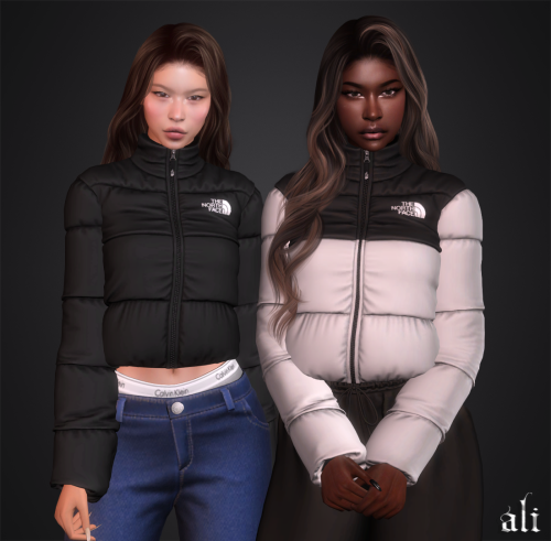 THE NORTH FACE Jacket JAN2025
