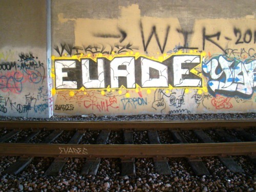 ‘Evade’ in Santiago Chile.Evade was the primary slogan adopted by highschool students for a campaign