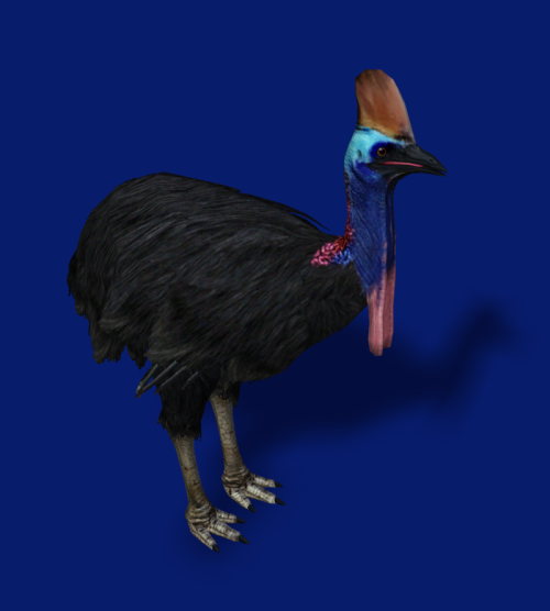 Decorative Cassowary and Platypus Converted to tS2 from Far Cry 3, Zoo Tycoon 2Here are some quick a
