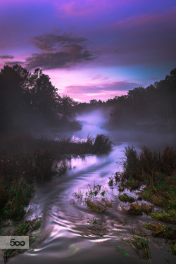 silvaris:    Misty Creek by Chad Briesemeister