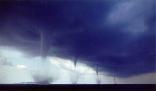 watershedplus:  A waterspout is an intense columnar vortex that occurs over a body of water, connected to a cumuliform cloud. In the common form, it is a non-supercell tornado over water. Waterspouts do not suck up water; the water seen in the main funnel