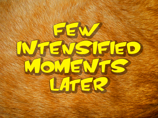nopony-ask-mclovin:  That’s the bad idea #946 in your list, right?  o.o;;