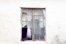 hawaiiancoconut:  White window &amp; lace curtains.  