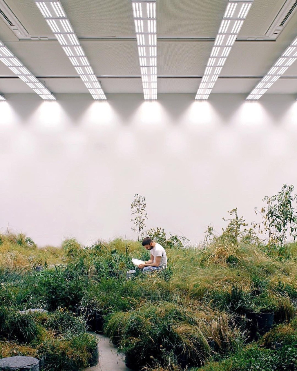 sometimes-now:  Venice Biennale@sgraam