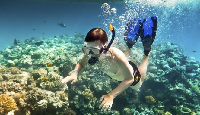 Nude boys snorkeling