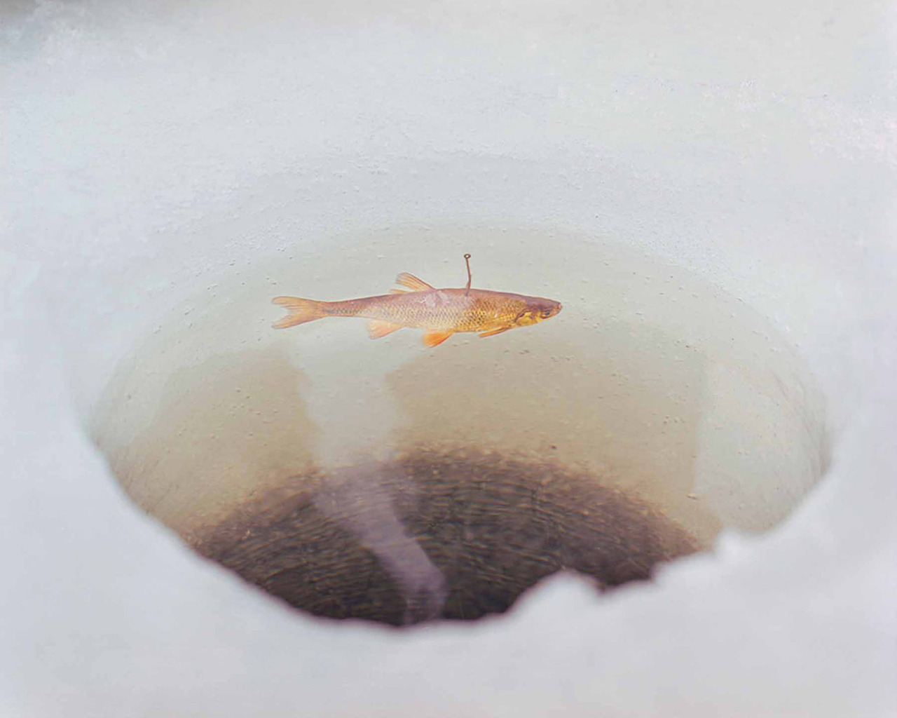 thisispaper: Penn Chan documented the frozen lakes of Maine