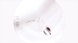 weirwolves:the x files | 1.08 ✗ iceit’s still there, scully. two hundred thousand years down, in the