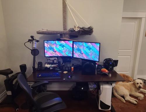 battlestations:Every Battlestation Needs a Cat Canopy