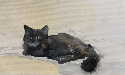 Ahh *sips Coffee* Another Day Of Posting Art No One Will See. This Is My Girlfriend’s Cat, Salem. He