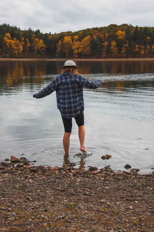 Walden in the fall