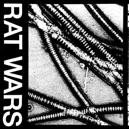 HEALTH | RAT WARS | Released On December 7, 2023, Through Loma Vista Recordings | Cover And Layout By