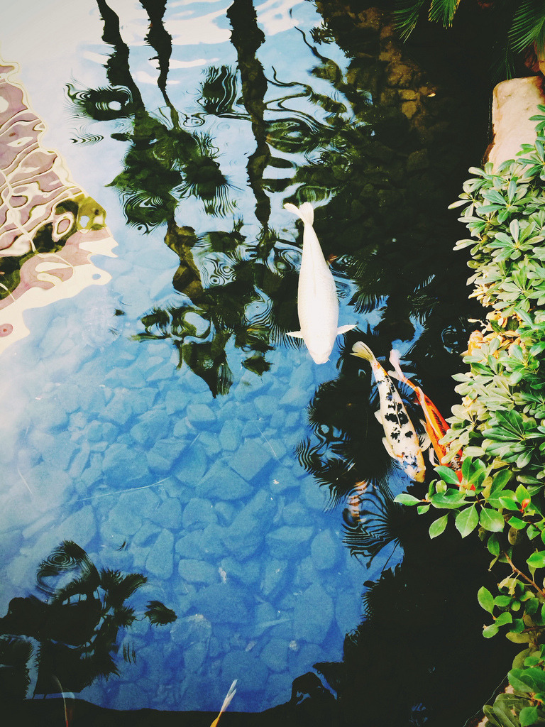 deletes:  Untitled by makebelieve_cmv 