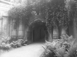 mortisia:  Highgate Cemetery in London, England x 